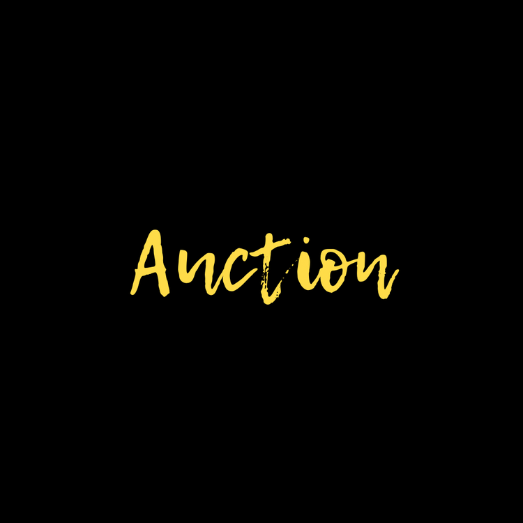 Auction November 2025